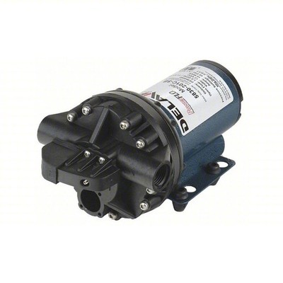 Delavan Pumps, 12v DEMAND STYLE DIAPHRAGM SPRAYER PUMP, Volts 12 Pump Type