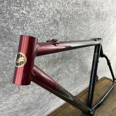 Vintage Giant CFM 3 Mountain Bike Frame Carbon Fiber 18in Hardtail