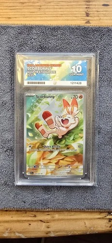 Scorbunny Illustration Rare 225/217 Ascended Heroes EN Ace Grading 10
