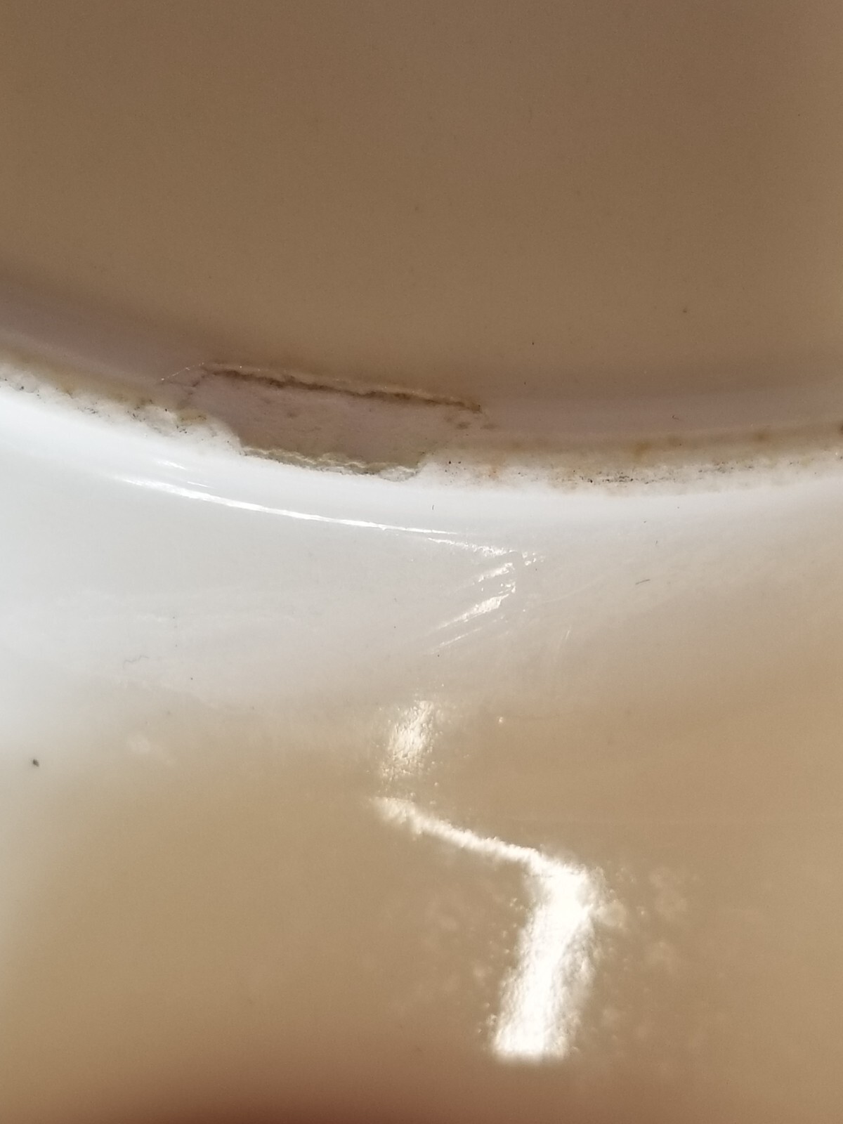 Picture 5 of 5