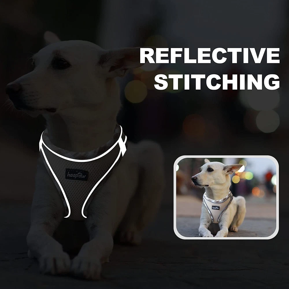 Dog Harness with Leash Set, No Pull Adjustable Reflective Step-In Puppy Harness