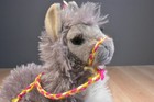 Bild 6 von 6