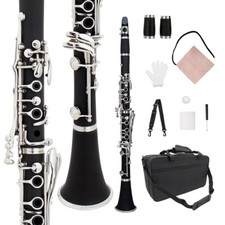 B Flat Clarinet Ebonite Wood Material for Beginner with 2 Barrels and Clean Kit