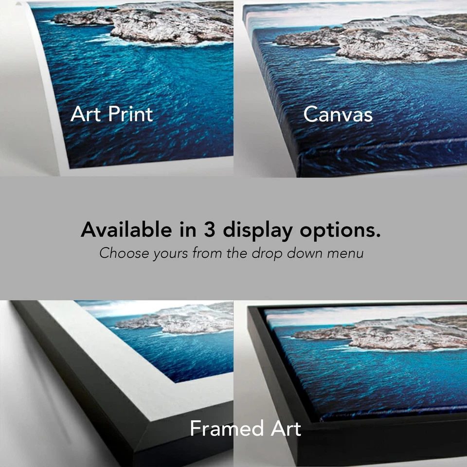 Retrato maltés de foto, pintura personalizada de perro mascota gato en acrílico digital al óleo Foto 4 de 4