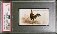 1891 N20 Allen & Ginter Prize & Game Chickens Brown Breasted Cock (PSA 5 EX)