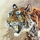 Bild 7 von 12