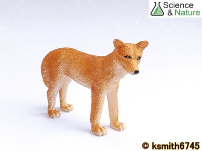 schleich dingo