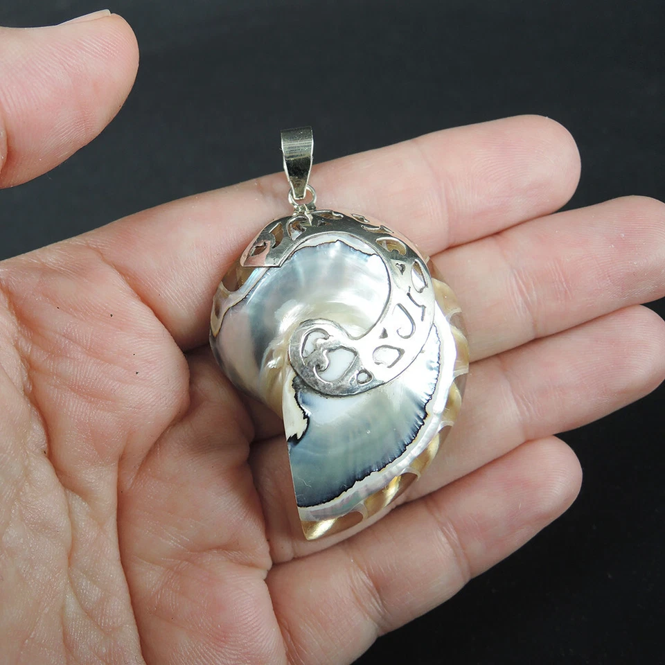 Gioielli con ciondolo Nautilus naturale trasparente in argento sterling 925, ... - Immagine 2 di 4