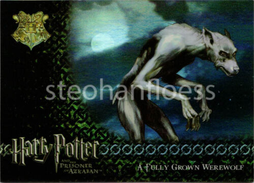 Harry Potter e il prigioniero di Azkaban Aggiornamento puzzle lamina scegli la carta - Foto 9 di 10