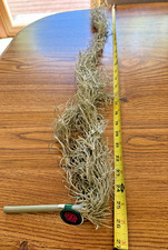 Dried Spanish Moss - potted plant filler, fairy gardens, crafts 26  long - NEW