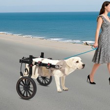 Adjustable Pet Rehabilitation Walking Aid 2-wheel Dog Wheelchairs for Back 65kg