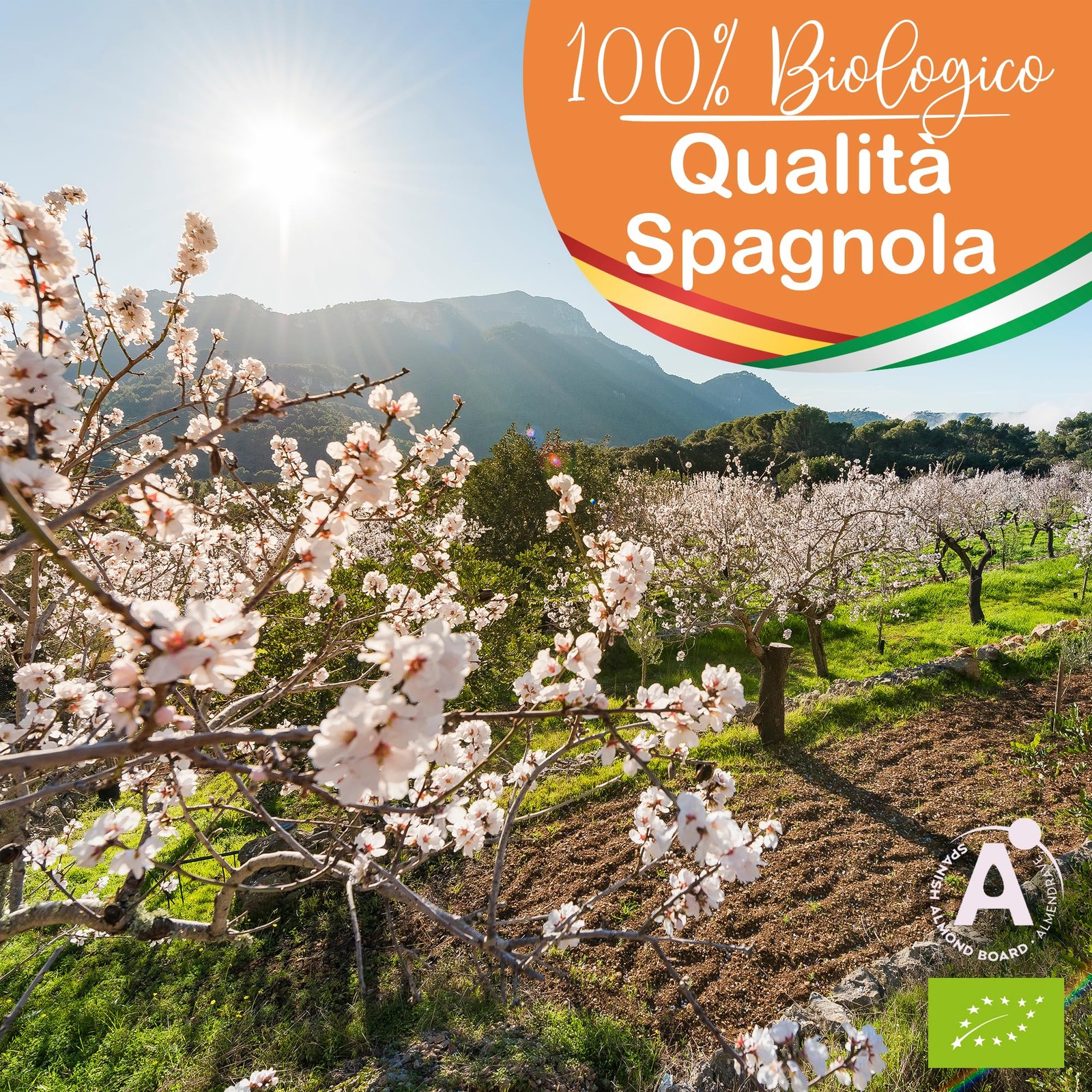 Olio di Mandorle Biologico Estratto a Freddo Puro Naturale Olio per Massaggi - 2