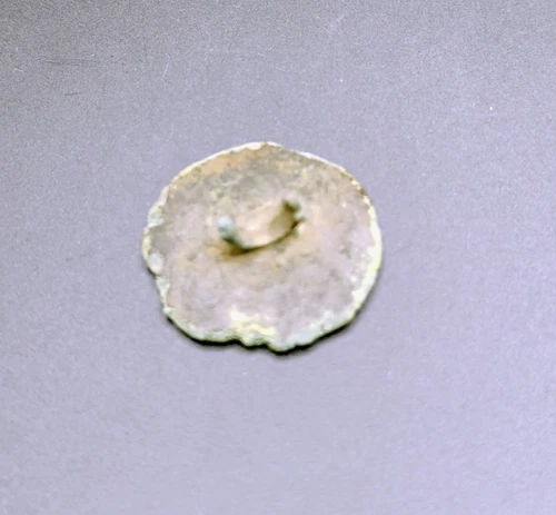 Civil War Confederate Coin Button with COA from Fagan Arms/Civil War Relic