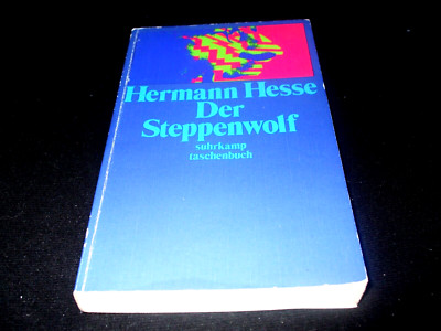 Hermann Hesse - Der Steppenwolf