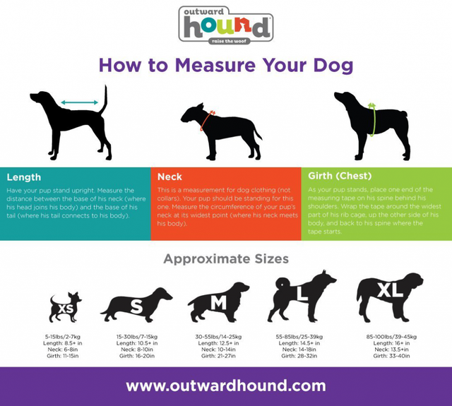 outward hound daypak