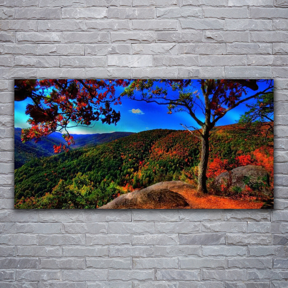 Image sur verre acrylique 120x60 grand format paysage forêt montagne