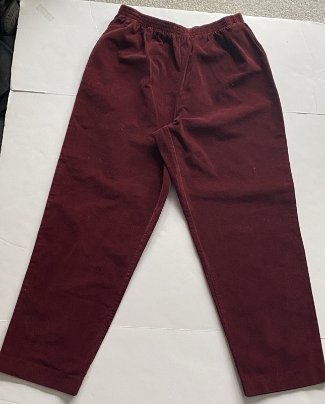 NWOT  Alfred Dinner Velour Woman’s Pants