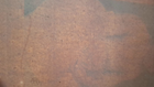 Bild 11 von 12