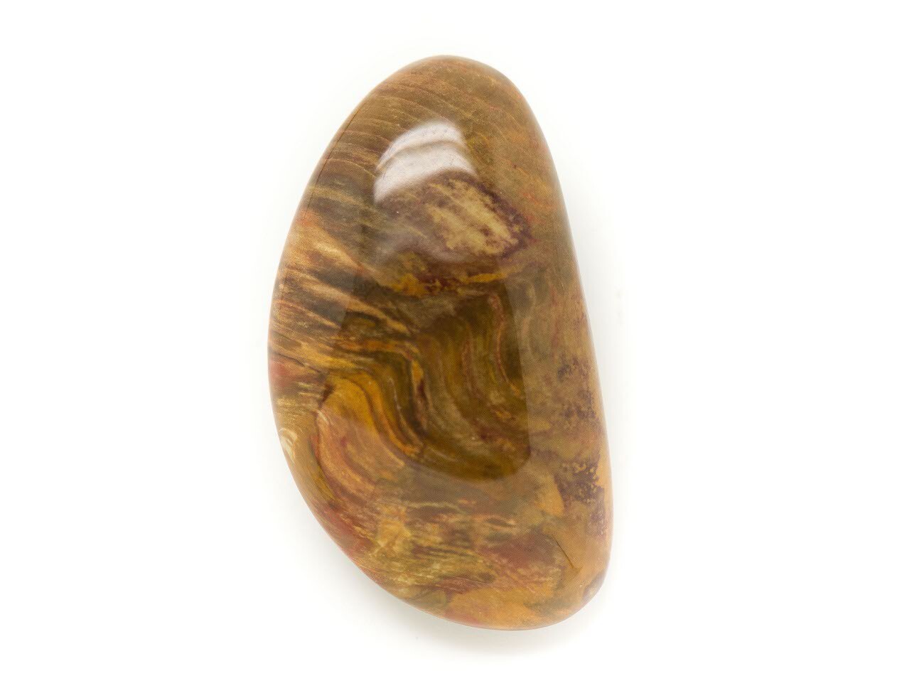 Cabochon en bois fossile N11 68x49mm, dos plat parfait pour réussir vos sertissages sans colle