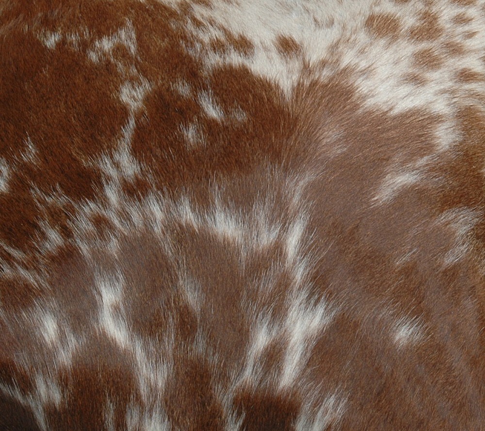 Bild 7 von 9