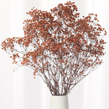 Babys Breath Dried Flowers Bouquet-17'' 1800 Ivory Dry Flowers, Natural Gypsoph
