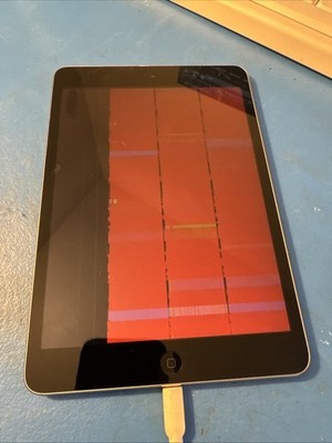 iPad Mini 2 NOT WORKING