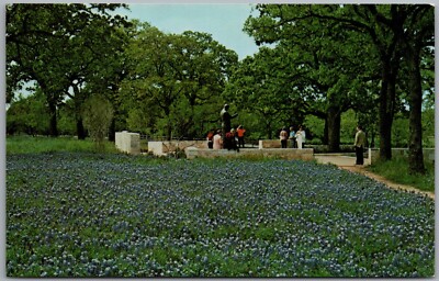 Lyndon B Johnsons Statue Field Of Bluebonnets Stonewall Texas Postcard G862