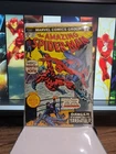 AMAZING SPIDER-MAN #134  1974)  1st App Tarantula, 2nd Punisher A9