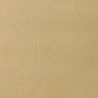 Bild 55 von 57