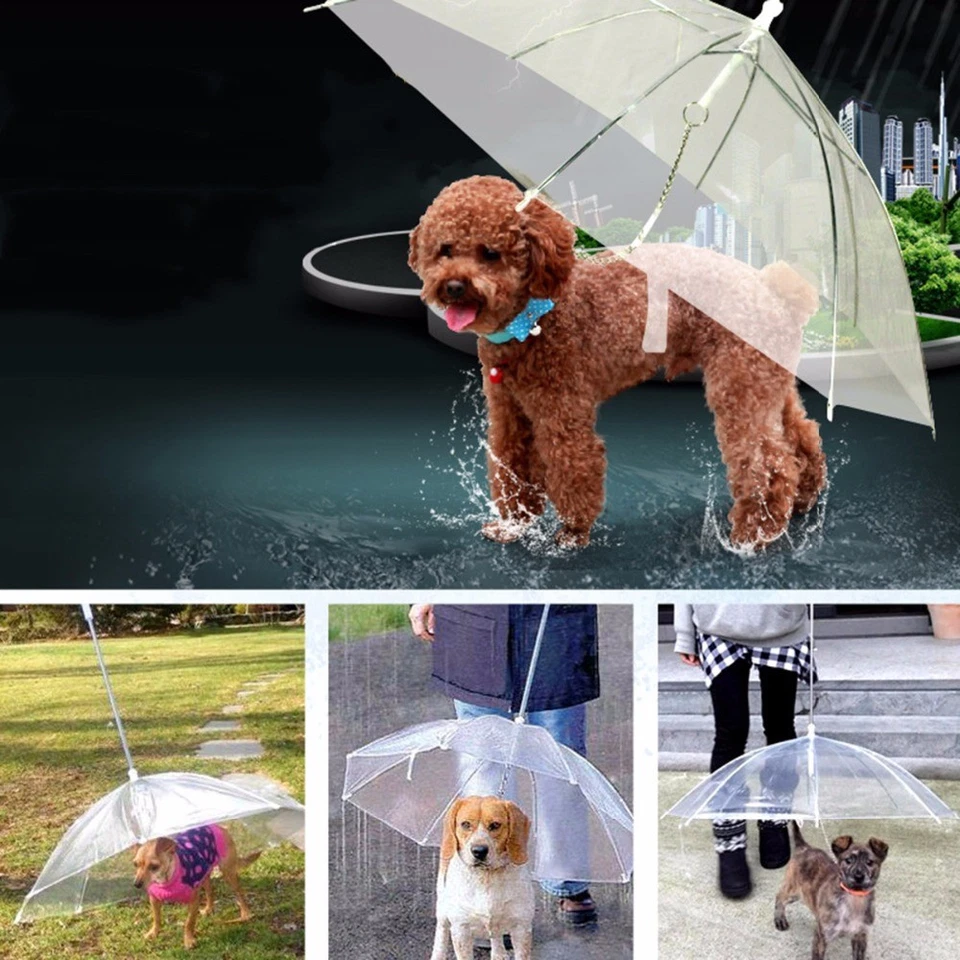 OMBRELLO GUINZAGLIO CANE RIPARO PIOGGIA IMPERMEABILE TRASPARENTE ASCIUTTO CANI - Immagine 2 di 4