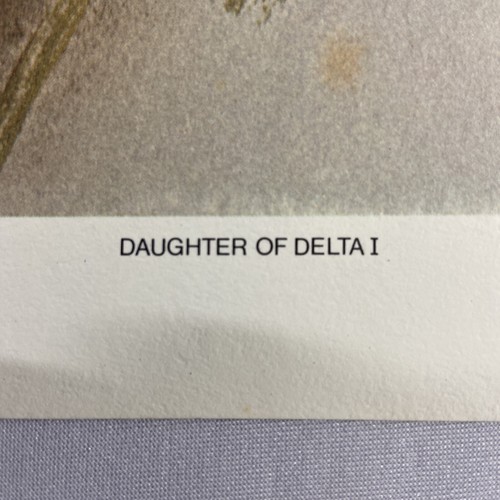 Cecilia Lin - Daughter of Delta I- Art Print - Signed and Numbered - 466/2000 - Picture 5 of 10