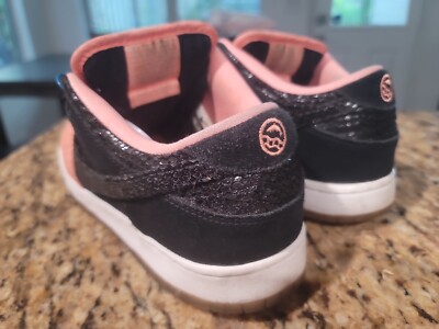 Nike Dunk Low SB Premier Fish Ladder Black Salmon 313170-603 EUC