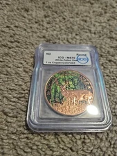 2024 White Tailed Colorized  1 Oz  Copper ICG- MS70
