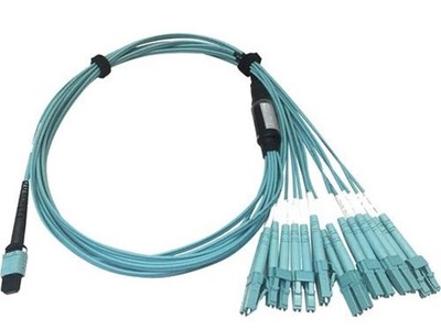 Tripp Lite 400GB Ethernet Fiber Optic Cable Multimode Breakout N846D-01M-24CAQ