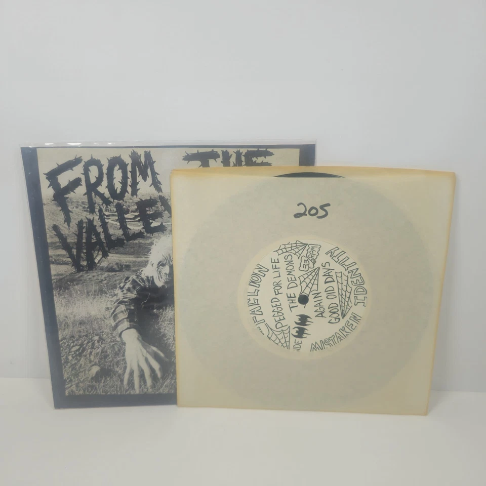 From The Valley Within A San Jose Compilation 7in LP Signed By Steve Caballero - Image 2 of 4