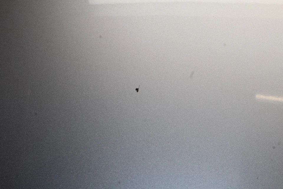 Acura RLX 2014-2017 capó OEM FQ12 Foto 2 de 4