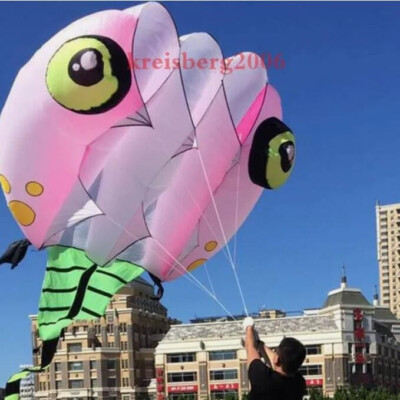 new 3D 8Sqm 1 Line Stunt Parafoil Wizard Tadpole POWER Sport Kite outdoor toy