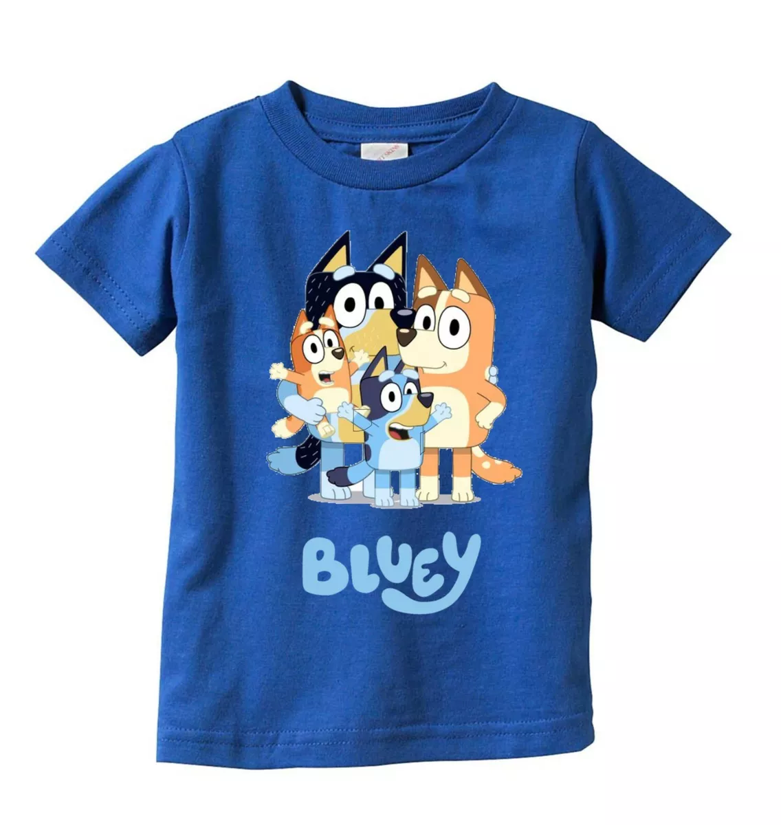 Bluey Family T-shirt / Bluey party / Bluey kids t-shirt / bluey