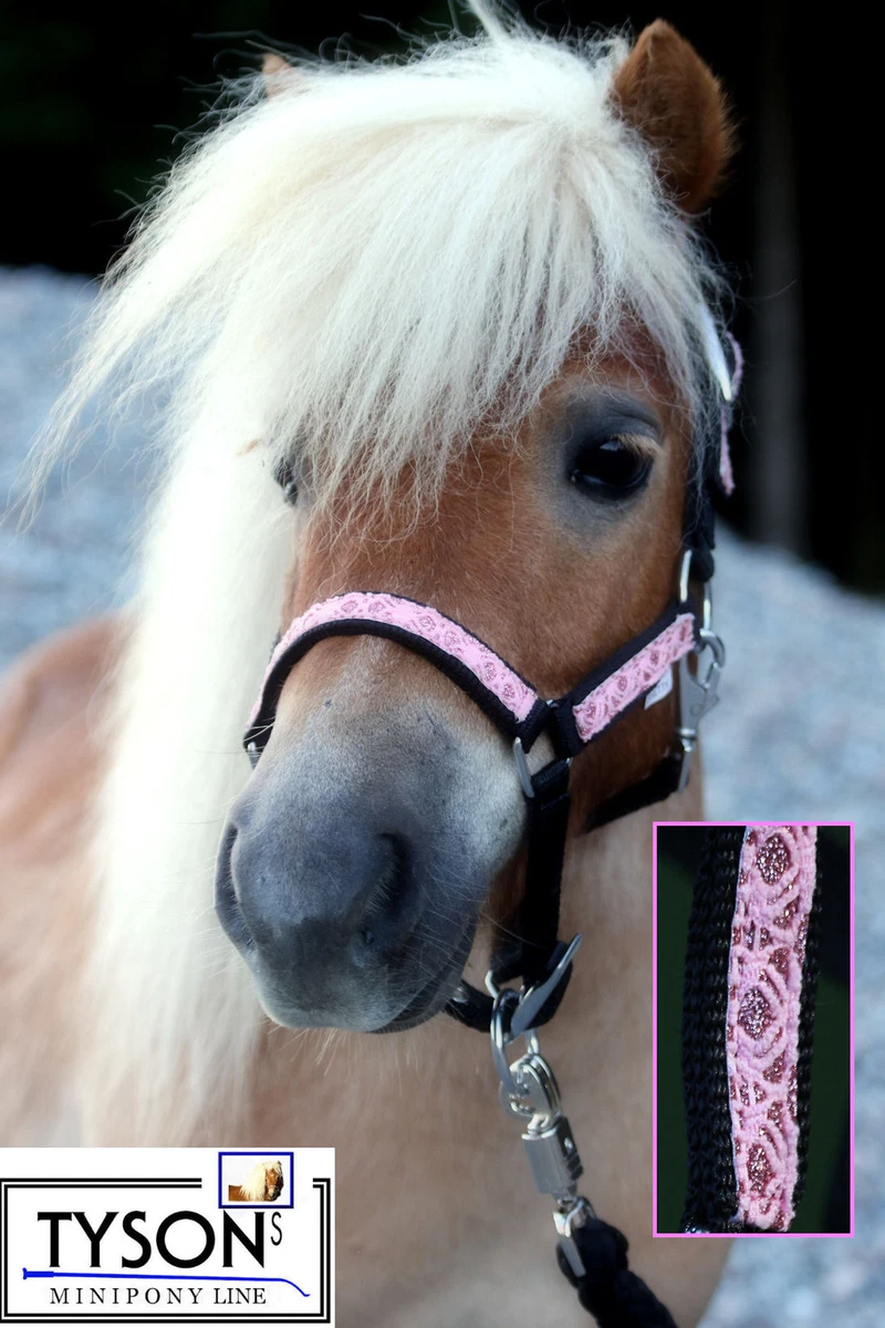 Halfter Vollblut / Cob "Seraphina" Pferdehalfter Größe