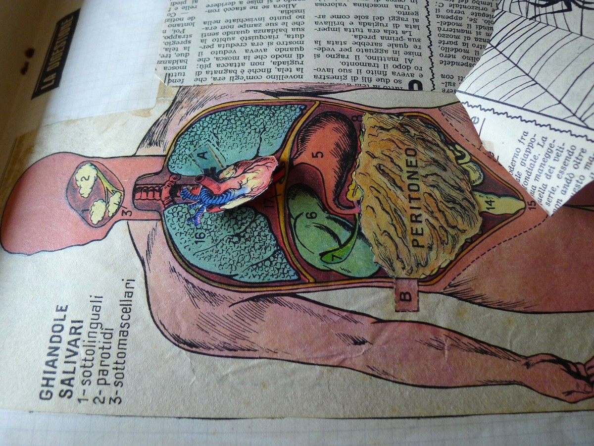 VINTAGE SCUOLA ELEMENTARE MAESTRA LIBRO BAMBINI POP