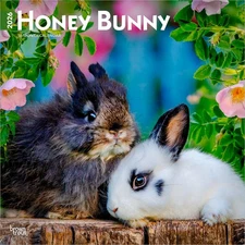 Honey Bunny | 2026 12x24" (Hanging) Square Wall Calendar | Plastic-Free