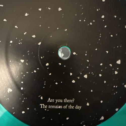 You Are There - Mono - 2006 - 2LP (Green/Blue) Insert Poster - Picture 9 of 17