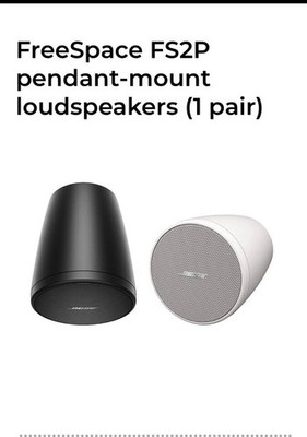 Bose Professional FreeSpace FS2P Pendant-Mount Loudspeaker (Pair)