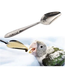 Nestling Feeding Spoon Bird Parrot Stainless Steel For All Different Young Birds