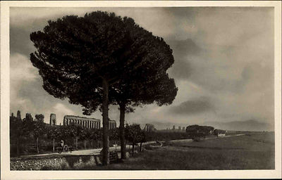 Rom Roma Italien Italia AK ~1940 Acquedotto Aquädukt Appia Nuova Ruinen Baum