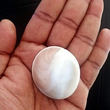 Original Gomati Chakra Grand Taille 20-25 G Naturel Gomathi Chakram Vishnu Pooja