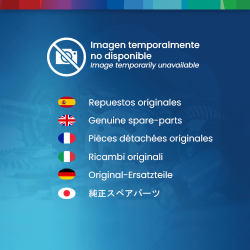 Ricambio Originale Bosch 16170006BG Motore Di Corrente Continua