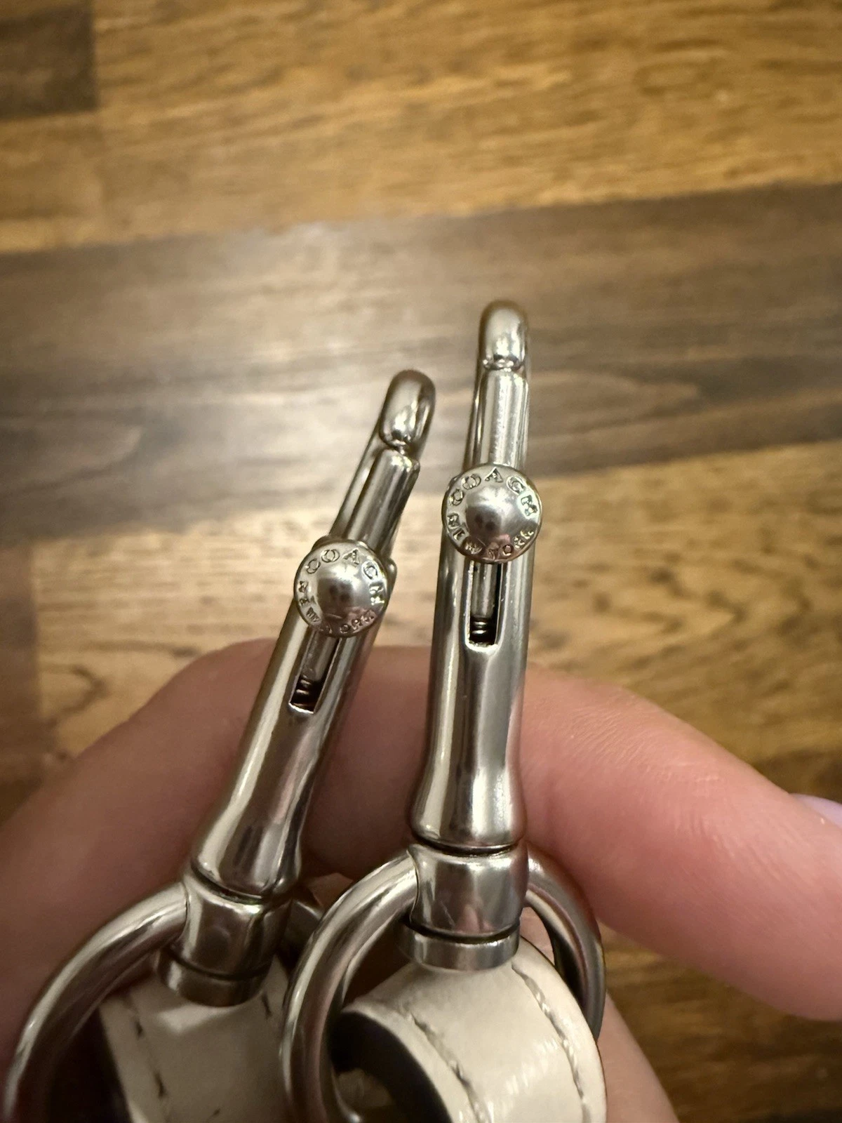 Borsa a tracolla Coach Strap pelle ciottoli stampa floreale gesso argento CU241