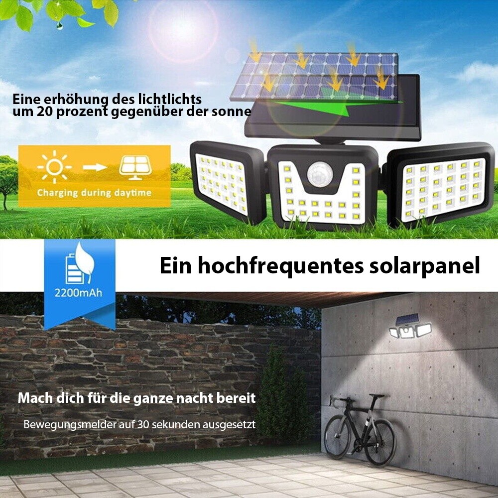 Bild 8 von 13