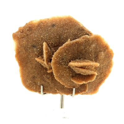 Steine und Mineralien. Gips (Rose des Sables). 430,8 ct. Marokko.